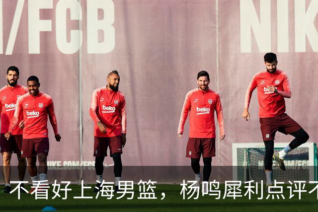 不看好上海男篮，杨鸣犀利点评不留情面，他们变化太大了