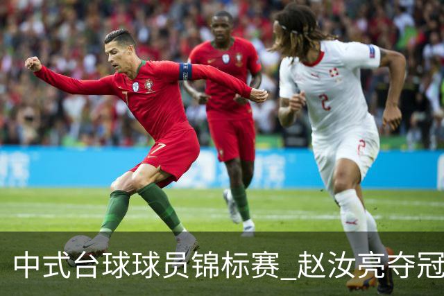 中式台球球员锦标赛 赵汝亮夺冠斩获百万奖金
