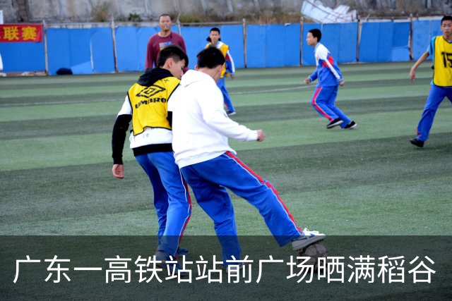 广东一高铁站站前广场晒满稻谷“治愈风”拉满，当地回应：不影响运行即可晾晒