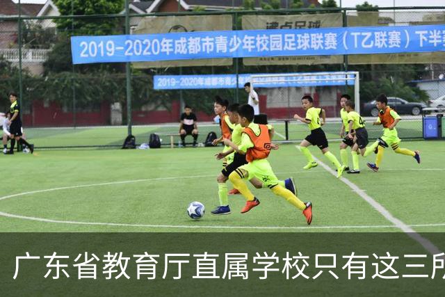 广东省教育厅直属学校只有这三所，华附省实都在里面，你家孩子有机会考进去吗？