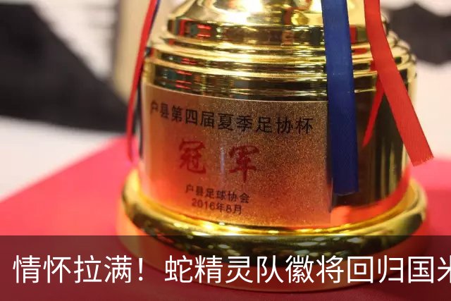 情怀拉满！蛇精灵队徽将回归国米120周年球衣，且印上两颗星星