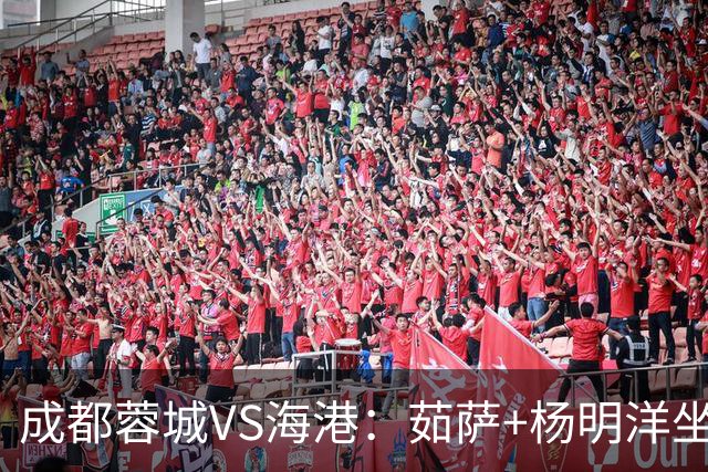 成都蓉城VS海港：茹萨+杨明洋坐镇，罗慕洛领衔，巴西锋霸出击