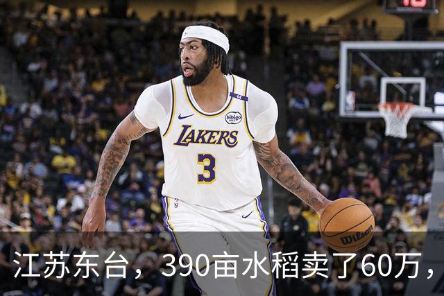 江苏东台，390亩水稻卖了60万，农户：成本49万，纯利润11万
