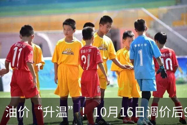 油价“升温”！10月16日调价后92,95号汽油价格，麦价“涨猛了”，高歌猛进？