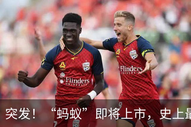 突发！“蚂蚁”即将上市，史上最大IPO