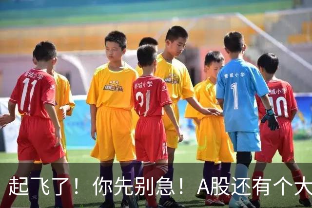 起飞了！你先别急！A股还有个大问题！
