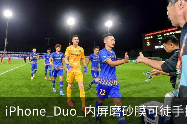 iPhone Duo 内屏磨砂膜可徒手撕下
